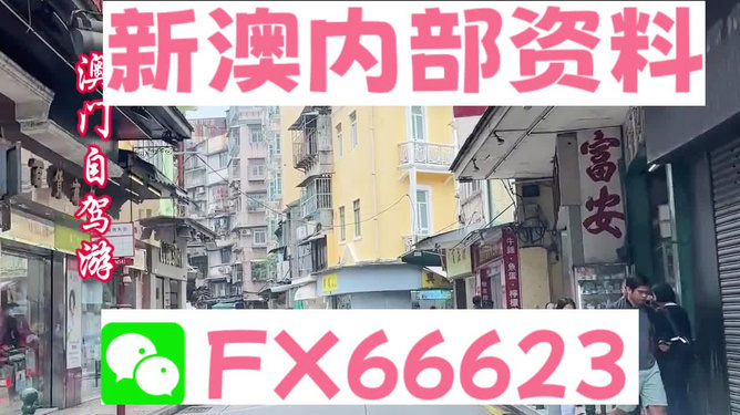 2025新澳精準資料，免費共享的未來展望，2025新澳精準資料共享未來展望，免費分享與趨勢分析