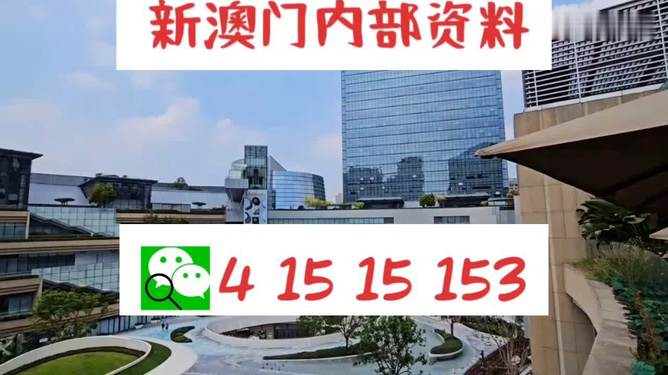 新澳門免費資料大全新牌門，一網(wǎng)打盡最新信息，澳門最新免費資料大匯總，一網(wǎng)打盡新牌門最新信息