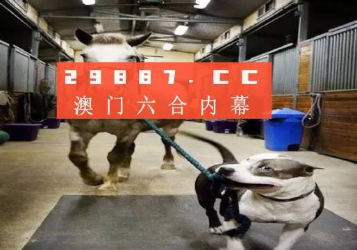 澳門一肖一碼一必中一肖同舟前進，澳門一肖一碼必中一精準預測，同舟前進共創(chuàng)輝煌