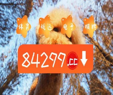 澳門天天免費精準(zhǔn)大全——探索澳門的無盡魅力，澳門無盡魅力探索大全，天天免費精準(zhǔn)指南