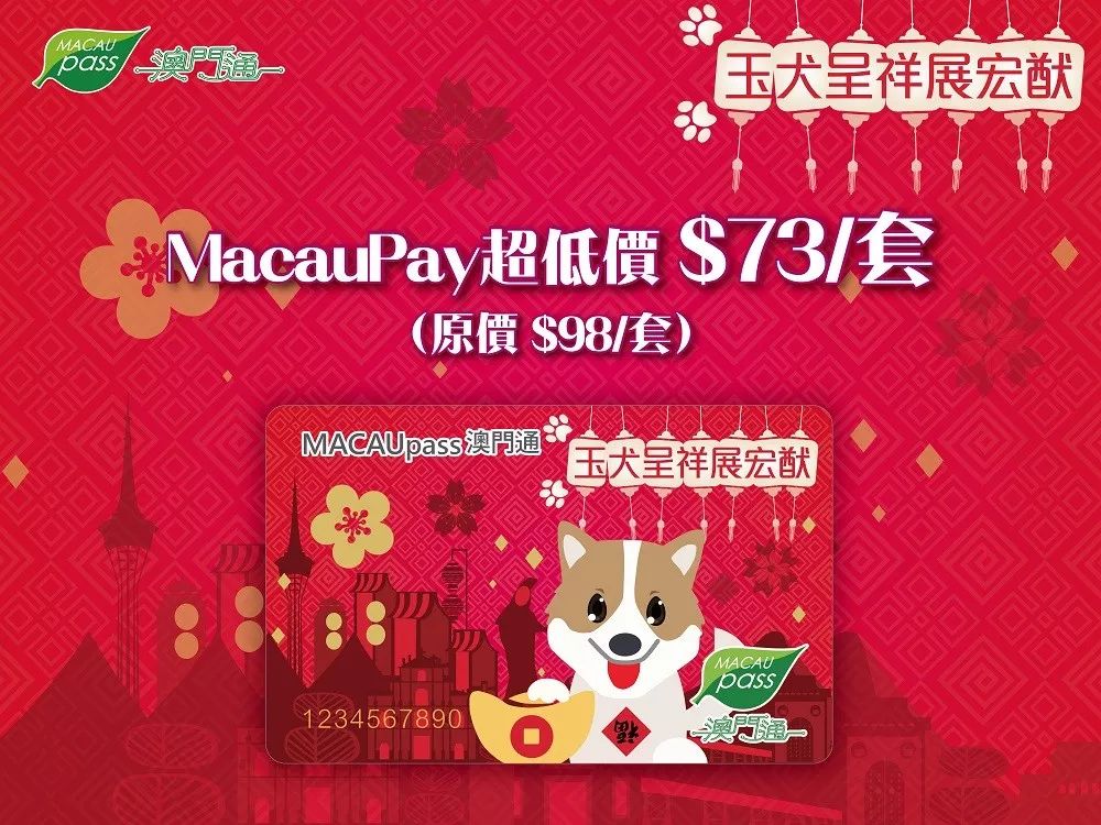 澳門正版資料大全資料生肖卡，澳門正版資料大全，生肖卡全收錄