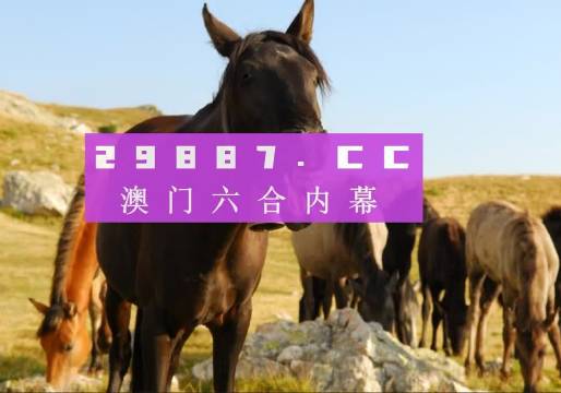 澳門管家婆一肖一碼一特，澳門管家精準(zhǔn)預(yù)測，一肖一碼一特揭秘