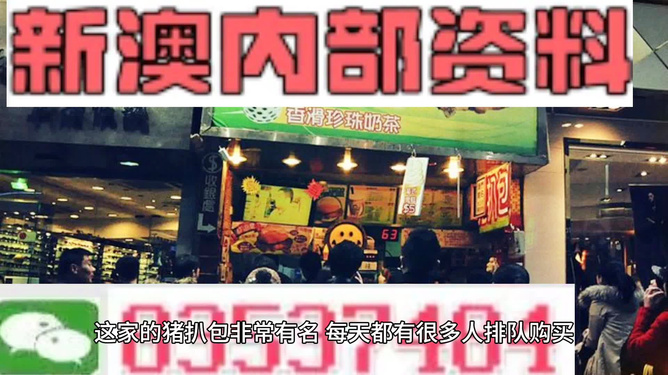 2025新澳精準資料大全，2025新澳精準資料大全手冊