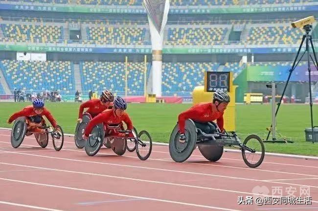 2025新澳門正版免費資本車，澳門正版免費資本車，未來趨勢與機(jī)遇