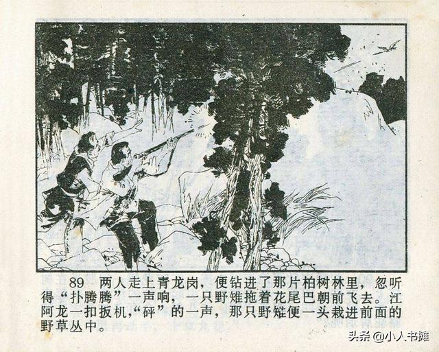 溪門精淮一肖探索之旅，深度解析溪門奧秘，溪門精淮一肖探索之旅，深度揭秘溪門之謎