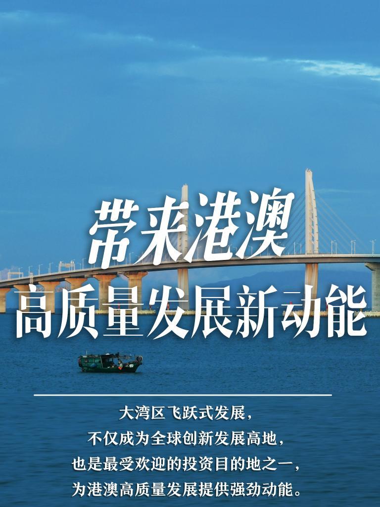 探索未來(lái)之門，2025新澳門精準(zhǔn)免費(fèi)大全，探索未來(lái)之門，2025新澳門精準(zhǔn)免費(fèi)大全概覽