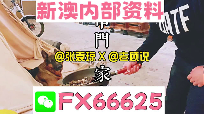 管家婆精準(zhǔn)資料免費(fèi)，管家婆精準(zhǔn)資料免費(fèi)公開(kāi)