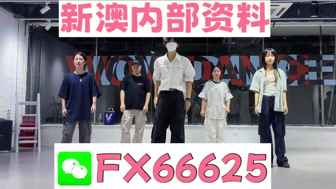 新澳天天開獎資料，新澳天天開獎資料詳解