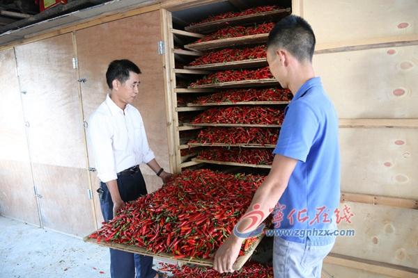王中王王中王免費(fèi)資料大全一一，王中王資料大全全免費(fèi)獲取