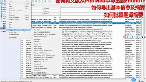 白小姐資料大全+正版資料白小姐奇緣四肖2月5號(hào)，白小姐奇緣四肖最新資料，揭秘正版資料與2月5號(hào)的神秘關(guān)聯(lián)