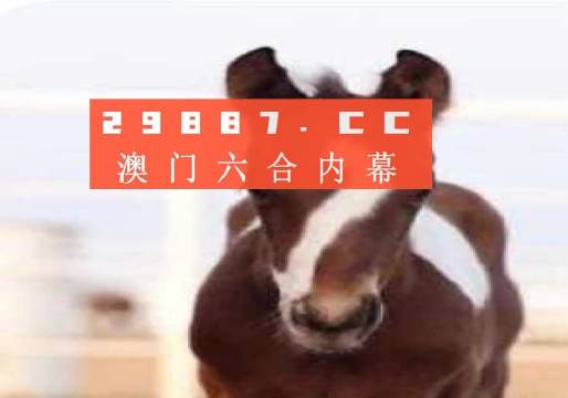 新澳門一碼一碼，探尋100%準確之秘，揭秘新澳門一碼一碼，探尋百分百準確之奧秘