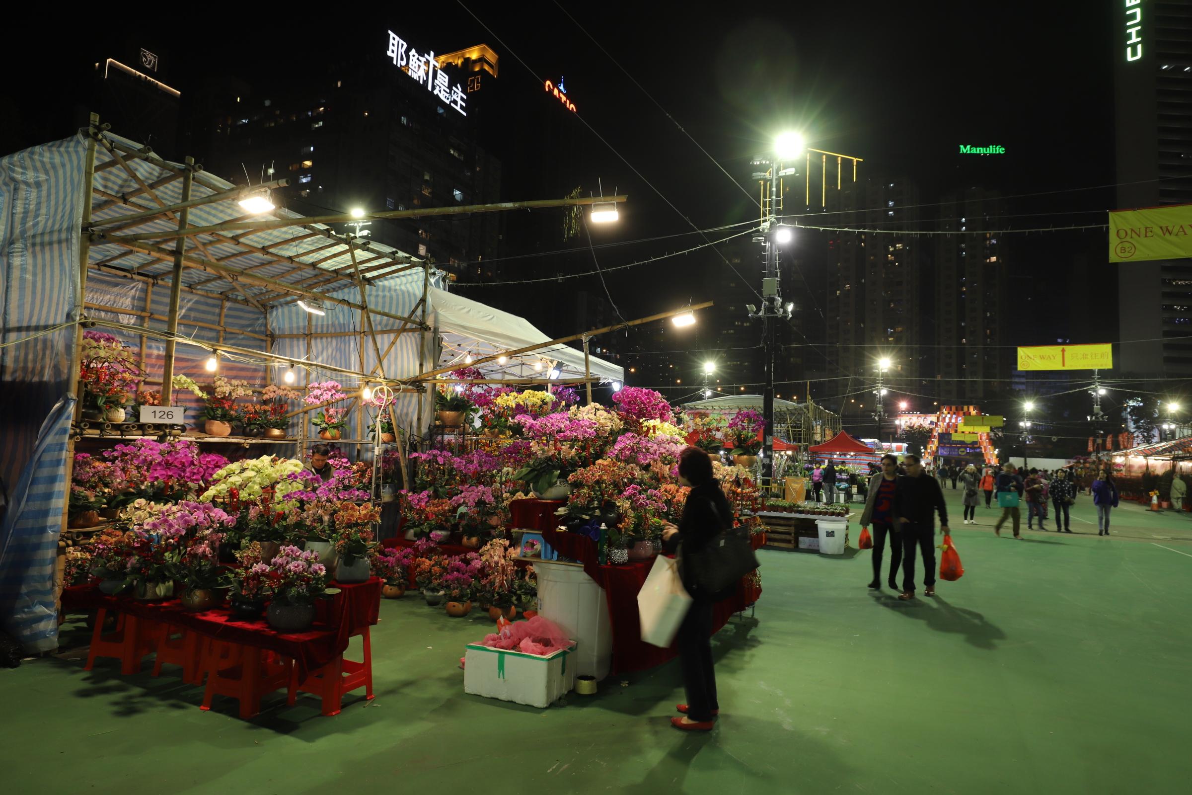 香港正版資料免費(fèi)大全生肖表2025最新版，香港正版資料免費(fèi)大全，2025最新版生肖表全解析