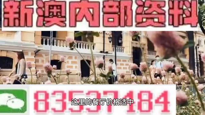 澳門最精準(zhǔn)免費資料大全旅游團(tuán)，澳門最精準(zhǔn)免費旅游資料大全及旅游團(tuán)介紹