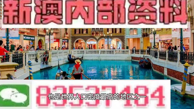 新澳門免費(fèi)精準(zhǔn)龍門客棧，揭秘管家婆的神秘面紗，揭秘新澳門龍門客棧的管家婆神秘面紗