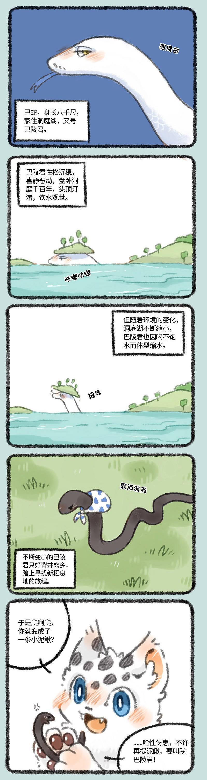 四不像正版 正版四不像，四不像正版書籍介紹，正版四不像書籍閱讀分享