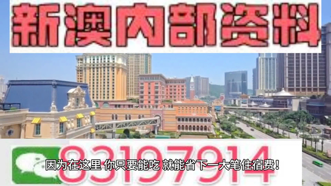 澳門最精準正最精準龍門，探索澳門的精準魅力，澳門精準魅力探索，龍門之秘