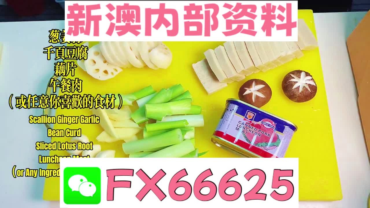 2025新澳精準(zhǔn)資料大全解釋，2025新澳精準(zhǔn)資料大全詳解