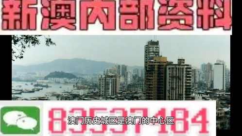 新澳門精準四肖期期中特公開，深度解析與探討，澳門精準四肖期期中特深度解析與探討揭秘