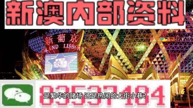 澳門最精準免費資料大全旅游團，一站式解鎖澳門之旅，澳門旅游團一站式攻略，精準免費資料大全，解鎖澳門之旅