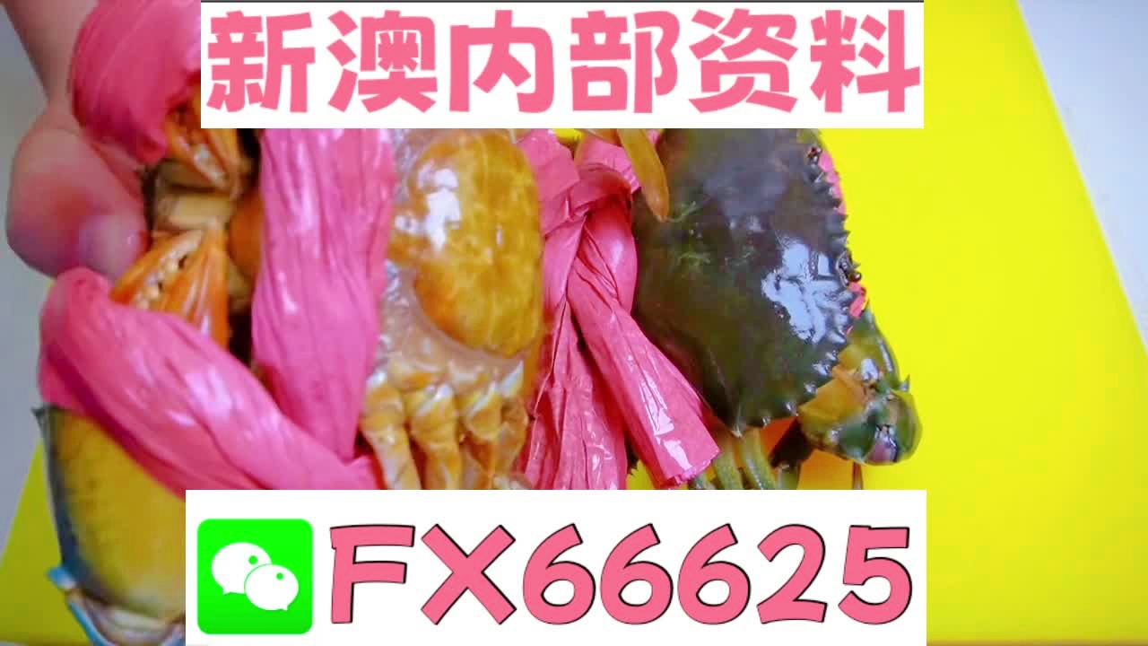 『深度解析』，2025新澳精準(zhǔn)資料大全詳解，深度解析，2025新澳精準(zhǔn)資料大全詳解與指南