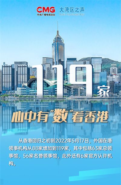 香港資料大全，正版資料下載手機(jī)2025年，香港資料大全2025年正版手機(jī)下載指南