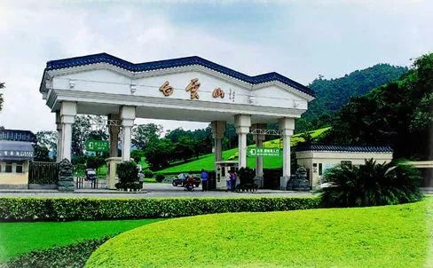 新奧門特免費資料大全凱旋門——探索熱門信息的魅力，新奧門特免費資料大全，探索熱門信息的魅力與凱旋門之旅