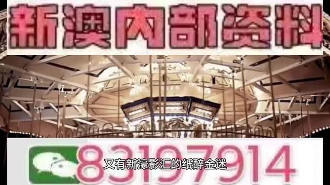 今晚上澳門特馬開幾號的熱門預(yù)測與探討，澳門特馬今晚熱門號碼預(yù)測與探討