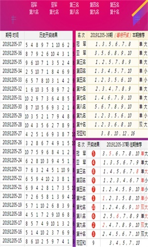 王中王四肖八碼下載，王中王四肖八碼下載專區(qū)