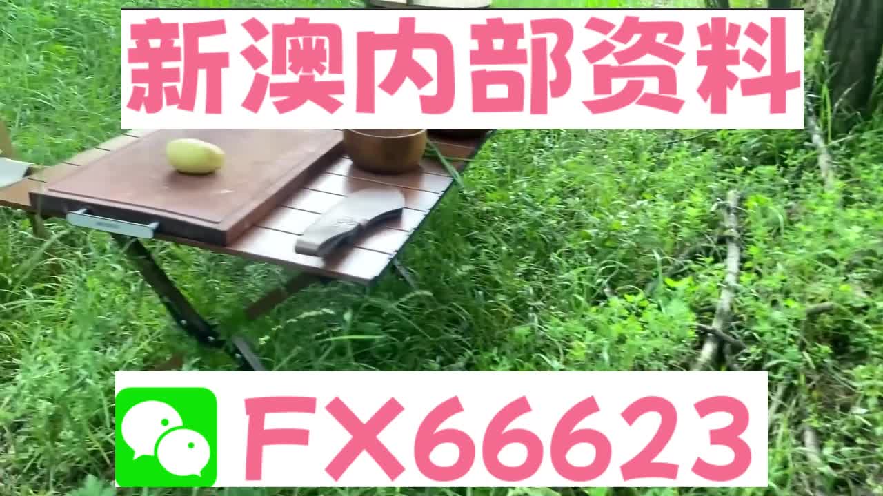 新澳精準(zhǔn)資料，期期準(zhǔn)確，助力成功之路，新澳精準(zhǔn)資料，助力成功之路的期期準(zhǔn)確指引