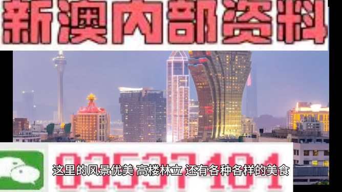 2025年新奧精準(zhǔn)資料大放送，免費(fèi)提供的未來(lái)藍(lán)圖，2025年新奧精準(zhǔn)資料大放送，未來(lái)藍(lán)圖免費(fèi)呈現(xiàn)