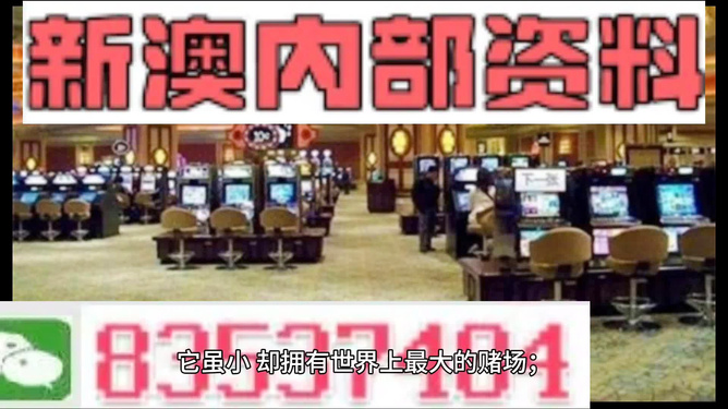 2025新澳門精準(zhǔn)正版免費(fèi)，澳門正版資料免費(fèi)公開預(yù)測(cè)分析
