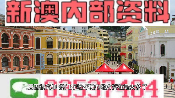 新澳門(mén)最精準(zhǔn)正最精準(zhǔn)龍門(mén)，澳門(mén)最新精準(zhǔn)龍門(mén)預(yù)測(cè)